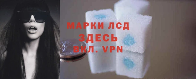 MDMA Premium VHQ Богородицк